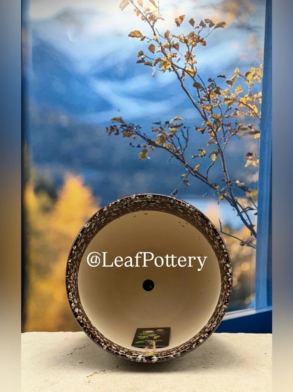 8 Inch Ceramic Planter with Attached Saucer & Drainage Hole | Speckled Brown Pot
